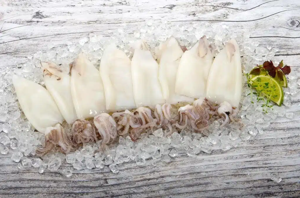 KARNERTA_CERNYS_Tintenfisch_C4